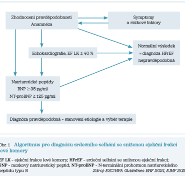 Obr. 1 Algoritmus pro&nbsp;diagnózu srdečního selhání