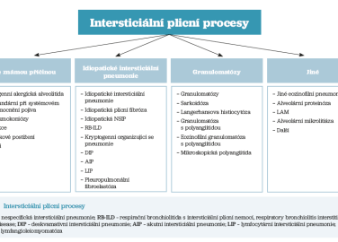 Obr. 1 Intersticiální plicní procesy