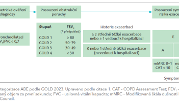 Obr. 1 Kategorizace ABE podle GOLD 2023