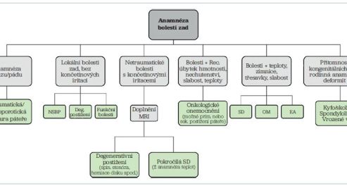 Obr. 1 Možné příčiny bolestí zad vzhledem k odebrané anamnéze NSBP – non-specific back pain, nespecifická bolest zad; SD – spondylodiscitida; OM – osteomyelitida; EA – epidurální absces; MRI – magnetická rezonance