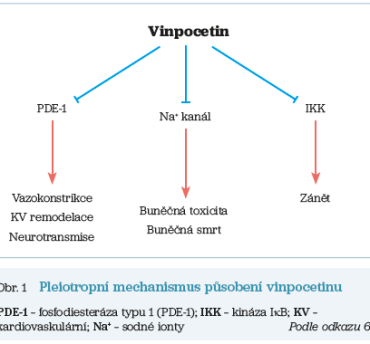 Obr. 1 Pleiotropní mechanismus působení vinpocetinu