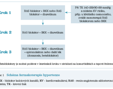 Obr. 1 Schéma farmakoterapie hypertenze