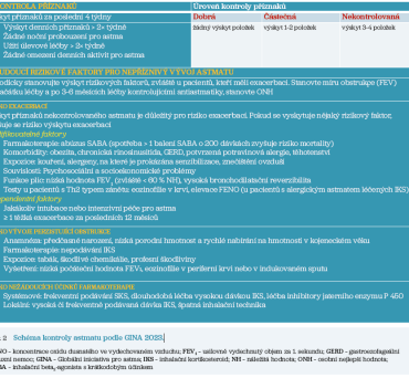 Obr. 2 Schéma kontroly astmatu podle GINA 2023.