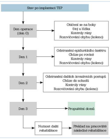 Obr. 2 Typický postup u pacienta po implantaci totální endoprotézy