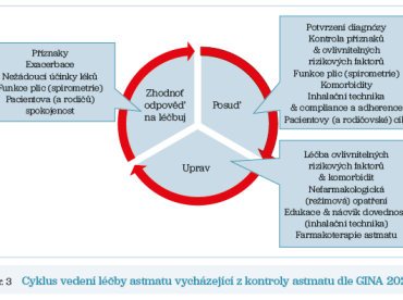 Obr. 3 Cyklus vedení léčby astmatu vycházející z kontroly astmatu dle GINA 2023.