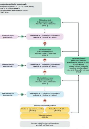 Obr. 3 Praktický algoritmus farmakologického snižování krevního tlaku ACEi – inhibitory angiotenzin konvertujícího enzymu; ARB – blokátor receptoru pro angiotenzin; CCB – blokátor kalciového kanálu; TK – krevní tlak Zdroj: ESC 2024