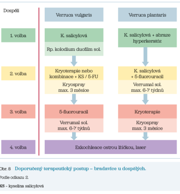 Obr. 8 Doporučený terapeutický postup – bradavice u dospělých.