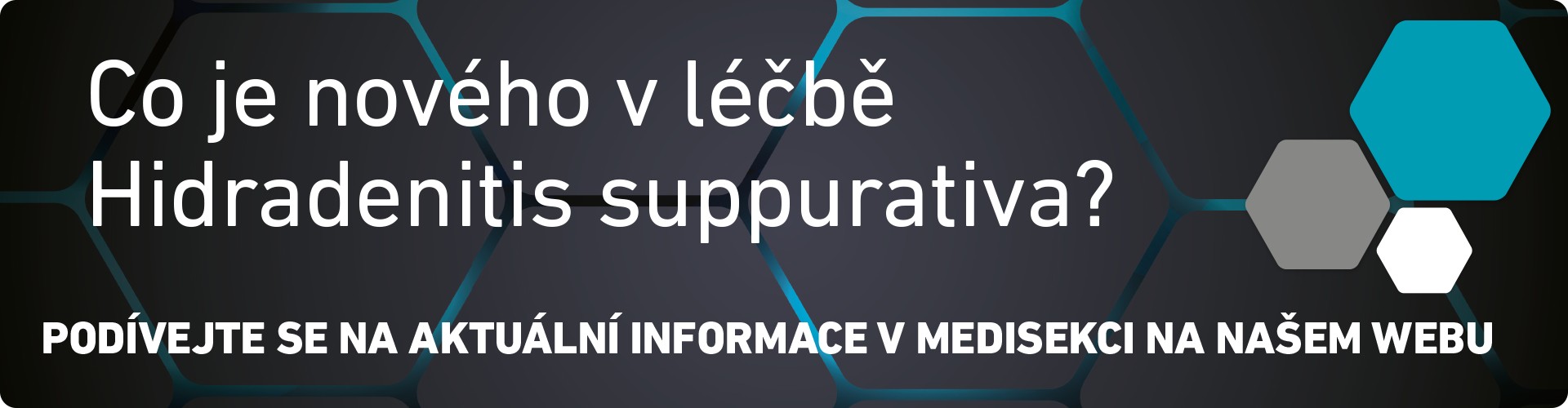 HS - medisekce 