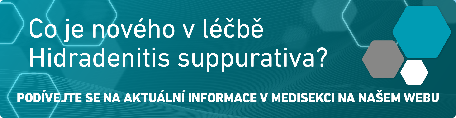 HS - medisekce mz