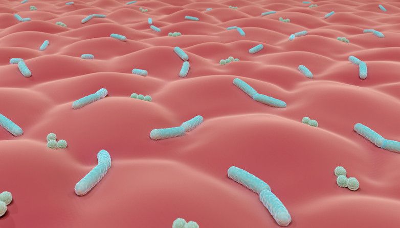 kožní mikrobiom