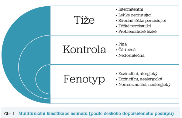 Obr. 1 Multifunkční klasifi kace astmatu (podle českého doporučeného postupu)