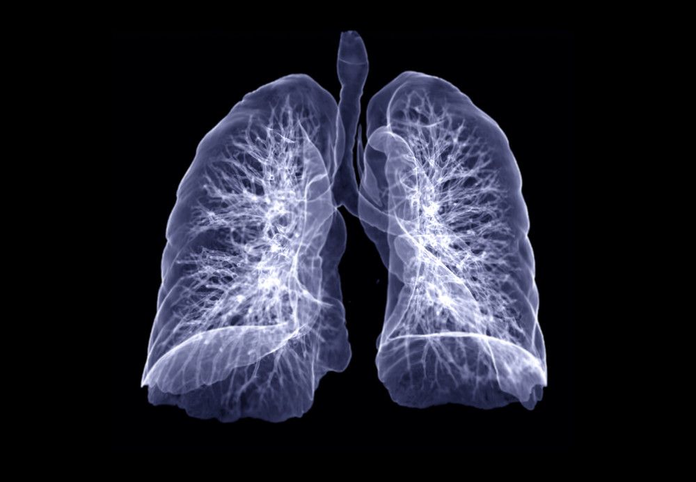 Ilustrační foto: Shutterstock