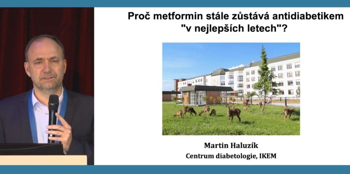 haluzík