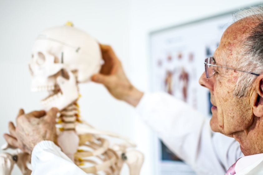 iStock-664399250_ORTOPEDIE