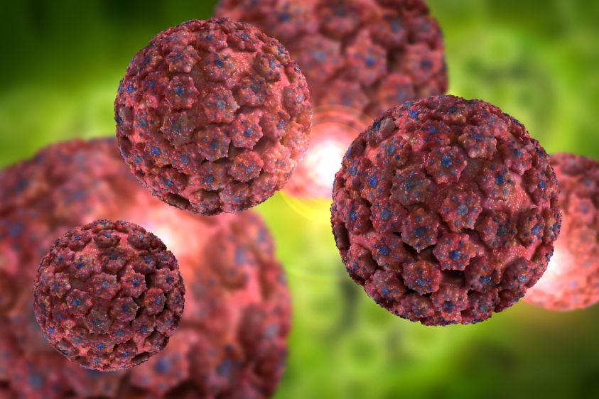 hpv