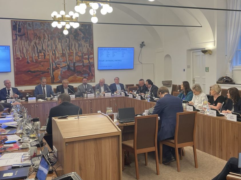 Sněmovní výbor pro zdravotnictví, foto MT