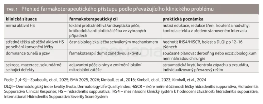 Tab1.Přehled f. přistupu