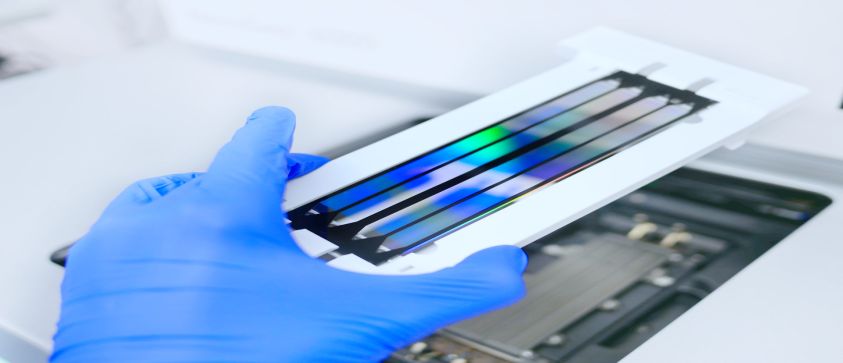 test, screening
