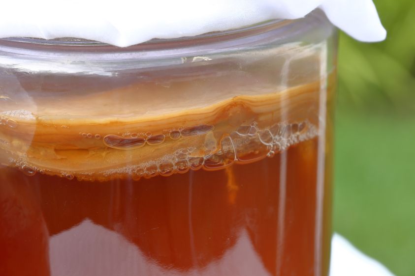 kombucha
