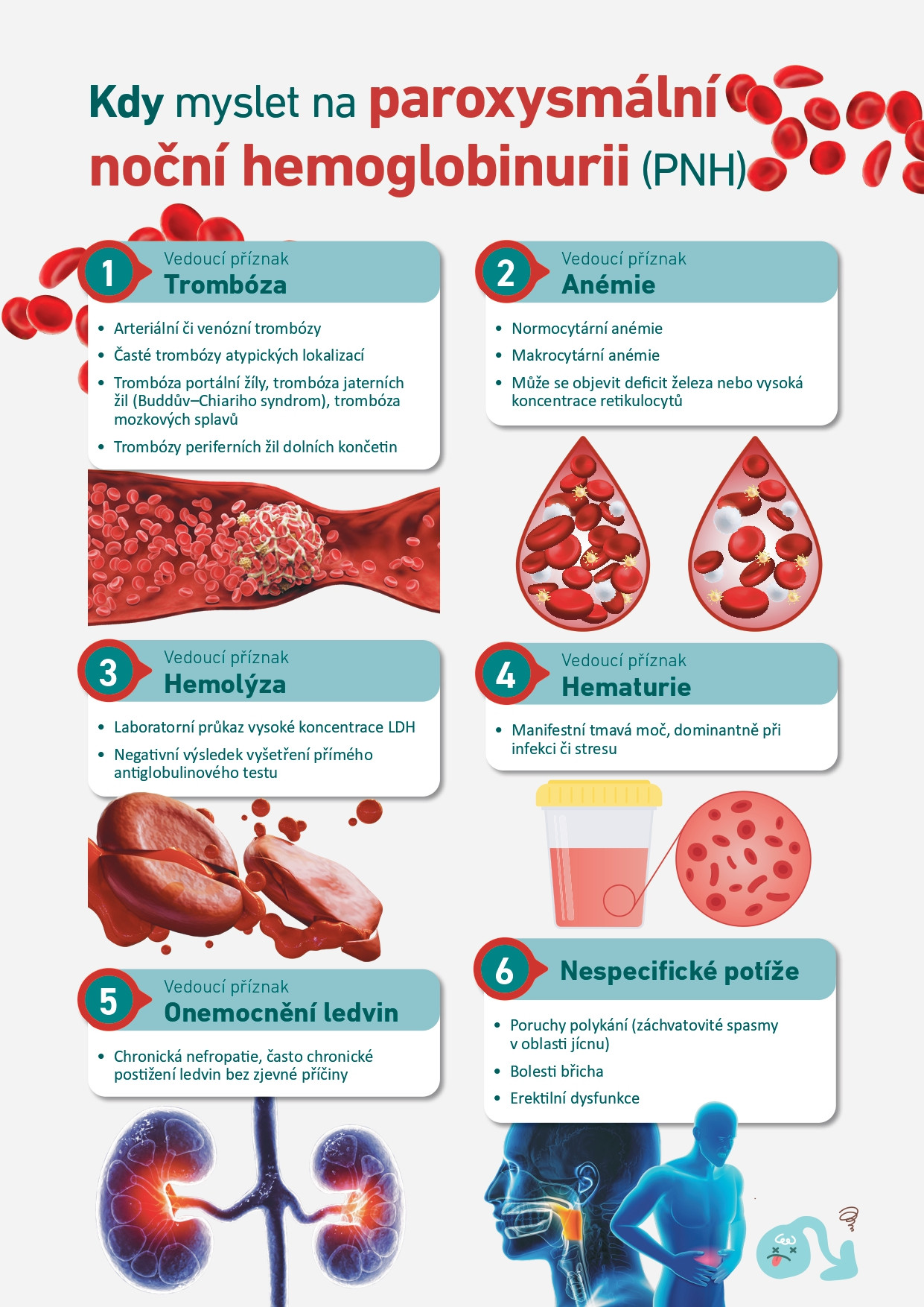 Paroxysmální noční hemoglobinurie (PNH) A4_v03 (1)_page-0001