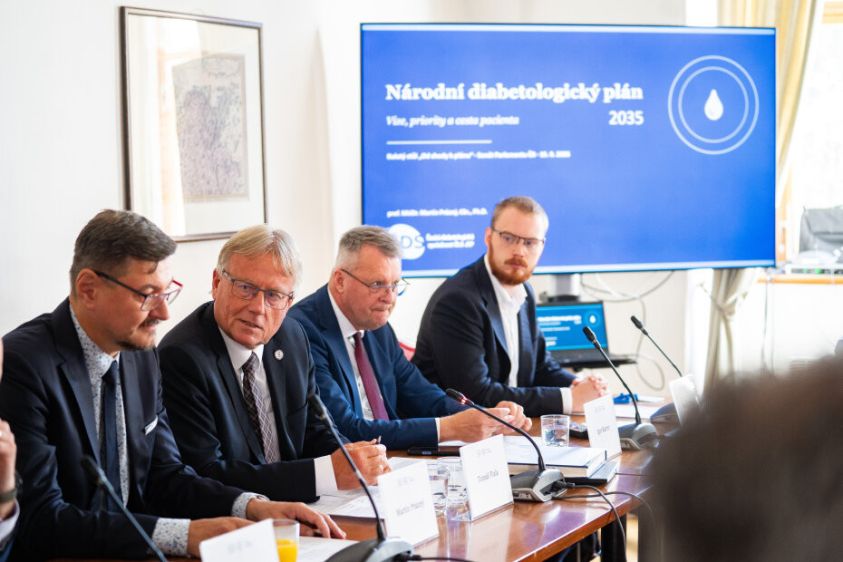 Kulatý stůl Národní diabetologický plán foto Senát PČR