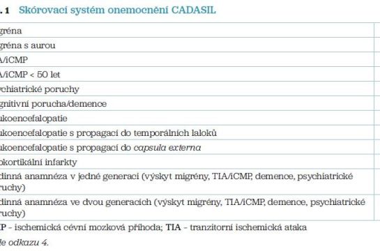 Tab. 1 Skórovací systém onemocnění CADASIL