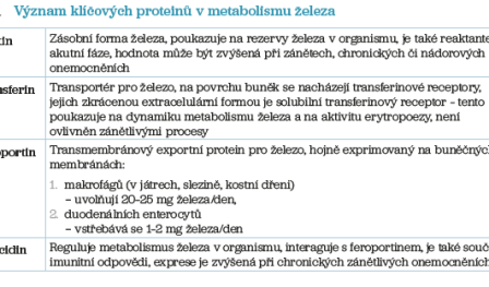 Tab. 1 Význam klíčových proteinů v metabolismu železa
