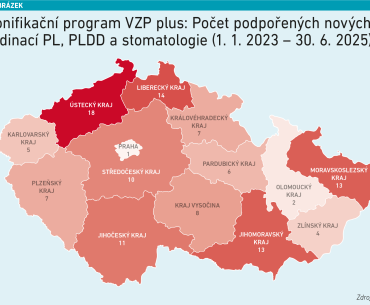 VZP - bonifikační program